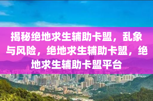 揭秘绝地求生辅助卡盟，乱象与风险，绝地求生辅助卡盟，绝地求生辅助卡盟平台