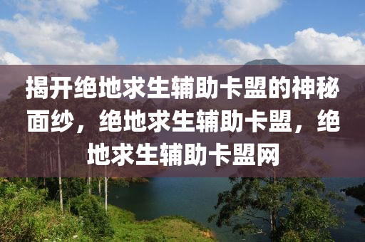 揭开绝地求生辅助卡盟的神秘面纱，绝地求生辅助卡盟，绝地求生辅助卡盟网