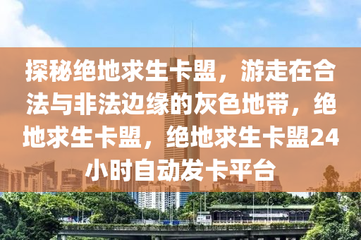 探秘绝地求生卡盟，游走在合法与非法边缘的灰色地带，绝地求生卡盟，绝地求生卡盟24小时自动发卡平台