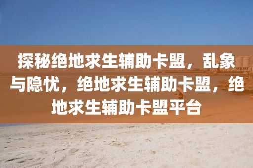 探秘绝地求生辅助卡盟，乱象与隐忧，绝地求生辅助卡盟，绝地求生辅助卡盟平台