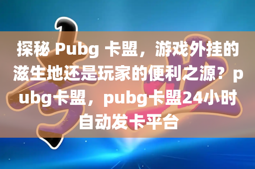 探秘 Pubg 卡盟，游戏外挂的滋生地还是玩家的便利之源？pubg卡盟，pubg卡盟24小时自动发卡平台