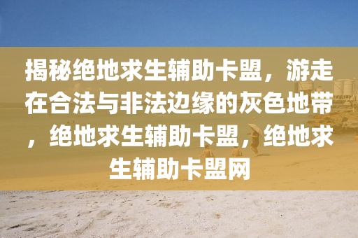 揭秘绝地求生辅助卡盟，游走在合法与非法边缘的灰色地带，绝地求生辅助卡盟，绝地求生辅助卡盟网