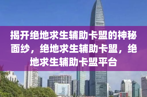 揭开绝地求生辅助卡盟的神秘面纱，绝地求生辅助卡盟，绝地求生辅助卡盟平台