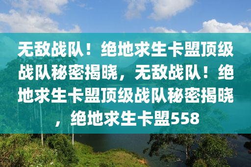 无敌战队！绝地求生卡盟顶级战队秘密揭晓，无敌战队！绝地求生卡盟顶级战队秘密揭晓，绝地求生卡盟558