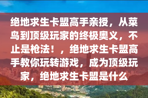 绝地求生卡盟高手亲授，从菜鸟到顶级玩家的终极奥义，不止是枪法！，绝地求生卡盟高手教你玩转游戏，成为顶级玩家，绝地求生卡盟是什么