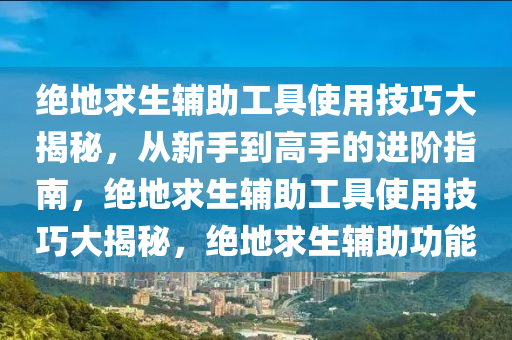 绝地求生辅助工具使用技巧大揭秘，从新手到高手的进阶指南，绝地求生辅助工具使用技巧大揭秘，绝地求生辅助功能