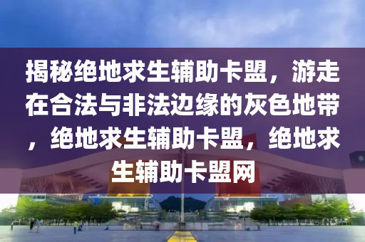 揭秘绝地求生辅助卡盟，游走在合法与非法边缘的灰色地带，绝地求生辅助卡盟，绝地求生辅助卡盟网
