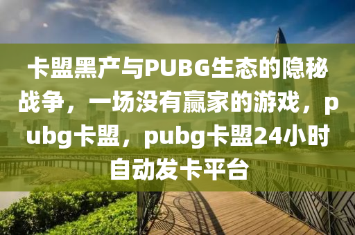 卡盟黑产与PUBG生态的隐秘战争，一场没有赢家的游戏，pubg卡盟，pubg卡盟24小时自动发卡平台