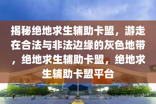 揭秘绝地求生辅助卡盟，游走在合法与非法边缘的灰色地带，绝地求生辅助卡盟，绝地求生辅助卡盟平台