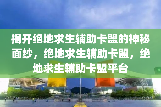 揭开绝地求生辅助卡盟的神秘面纱，绝地求生辅助卡盟，绝地求生辅助卡盟平台