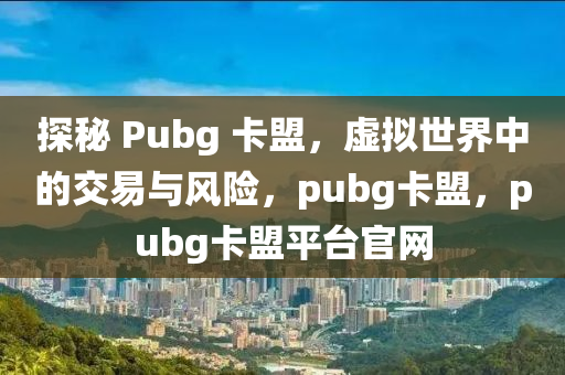 探秘 Pubg 卡盟，虚拟世界中的交易与风险，pubg卡盟，pubg卡盟平台官网