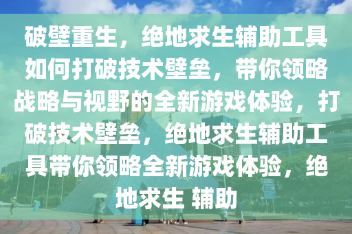破壁重生，绝地求生辅助工具如何打破技术壁垒，带你领略战略与视野的全新游戏体验，打破技术壁垒，绝地求生辅助工具带你领略全新游戏体验，绝地求生 辅助