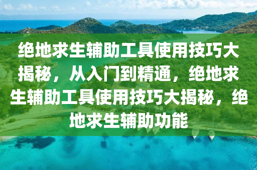绝地求生辅助工具使用技巧大揭秘，从入门到精通，绝地求生辅助工具使用技巧大揭秘，绝地求生辅助功能