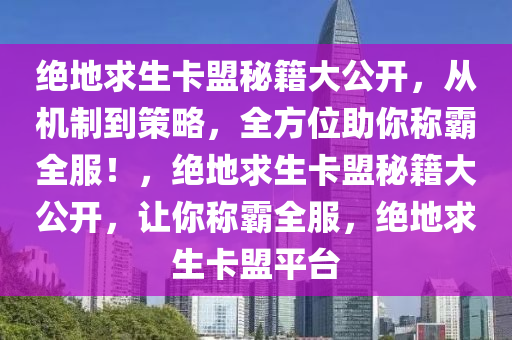 绝地求生卡盟秘籍大公开，从机制到策略，全方位助你称霸全服！，绝地求生卡盟秘籍大公开，让你称霸全服，绝地求生卡盟平台