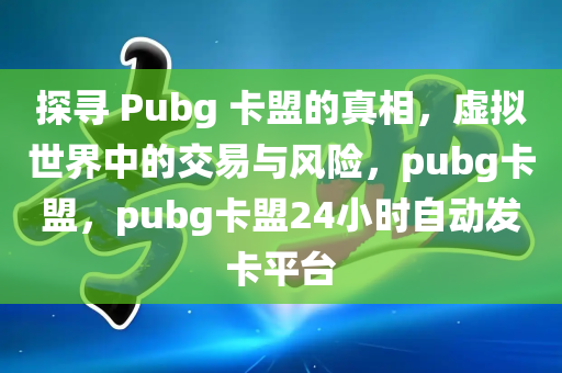 探寻 Pubg 卡盟的真相，虚拟世界中的交易与风险，pubg卡盟，pubg卡盟24小时自动发卡平台