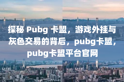 探秘 Pubg 卡盟，游戏外挂与灰色交易的背后，pubg卡盟，pubg卡盟平台官网