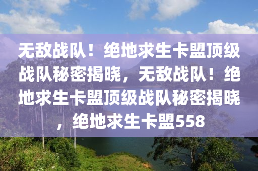 无敌战队！绝地求生卡盟顶级战队秘密揭晓，无敌战队！绝地求生卡盟顶级战队秘密揭晓，绝地求生卡盟558