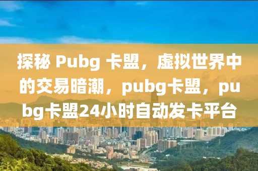 探秘 Pubg 卡盟，虚拟世界中的交易暗潮，pubg卡盟，pubg卡盟24小时自动发卡平台
