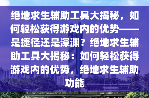 绝地求生辅助工具大揭秘，如何轻松获得游戏内的优势——是捷径还是深渊？绝地求生辅助工具大揭秘：如何轻松获得游戏内的优势，绝地求生辅助功能