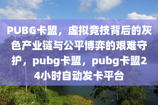 PUBG卡盟，虚拟竞技背后的灰色产业链与公平博弈的艰难守护，pubg卡盟，pubg卡盟24小时自动发卡平台