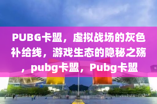 PUBG卡盟，虚拟战场的灰色补给线，游戏生态的隐秘之殇，pubg卡盟，Pubg卡盟