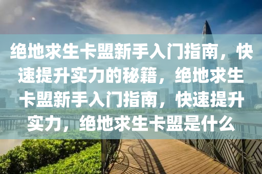 绝地求生卡盟新手入门指南，快速提升实力的秘籍，绝地求生卡盟新手入门指南，快速提升实力，绝地求生卡盟是什么