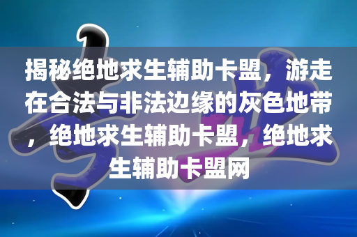 揭秘绝地求生辅助卡盟，游走在合法与非法边缘的灰色地带，绝地求生辅助卡盟，绝地求生辅助卡盟网