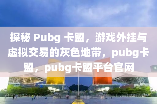 探秘 Pubg 卡盟，游戏外挂与虚拟交易的灰色地带，pubg卡盟，pubg卡盟平台官网