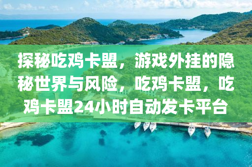 探秘吃鸡卡盟，游戏外挂的隐秘世界与风险，吃鸡卡盟，吃鸡卡盟24小时自动发卡平台