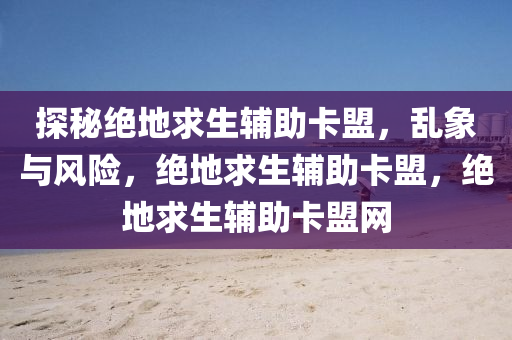 探秘绝地求生辅助卡盟，乱象与风险，绝地求生辅助卡盟，绝地求生辅助卡盟网