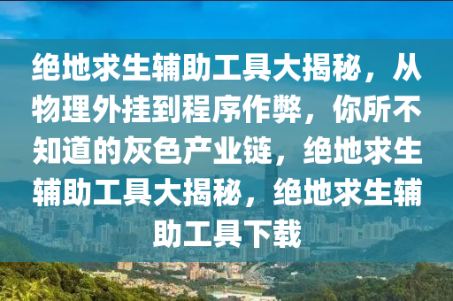绝地求生辅助工具大揭秘，从物理外挂到程序作弊，你所不知道的灰色产业链，绝地求生辅助工具大揭秘，绝地求生辅助工具下载