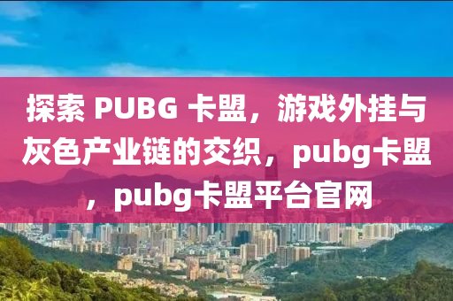 探索 PUBG 卡盟，游戏外挂与灰色产业链的交织，pubg卡盟，pubg卡盟平台官网