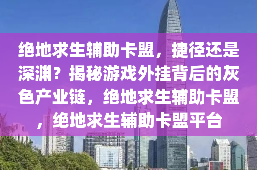 绝地求生辅助卡盟，捷径还是深渊？揭秘游戏外挂背后的灰色产业链，绝地求生辅助卡盟，绝地求生辅助卡盟平台