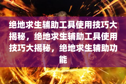 绝地求生辅助工具使用技巧大揭秘，绝地求生辅助工具使用技巧大揭秘，绝地求生辅助功能