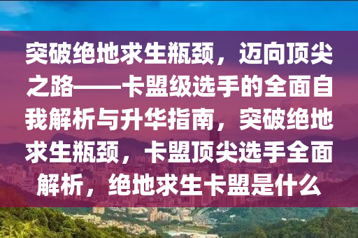 突破绝地求生瓶颈，迈向顶尖之路——卡盟级选手的全面自我解析与升华指南，突破绝地求生瓶颈，卡盟顶尖选手全面解析，绝地求生卡盟是什么
