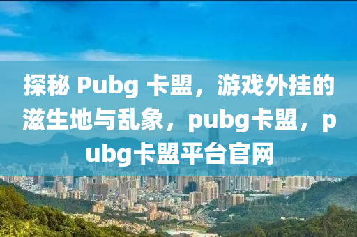 探秘 Pubg 卡盟，游戏外挂的滋生地与乱象，pubg卡盟，pubg卡盟平台官网