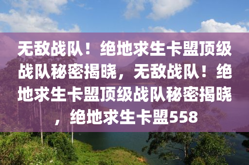 无敌战队！绝地求生卡盟顶级战队秘密揭晓，无敌战队！绝地求生卡盟顶级战队秘密揭晓，绝地求生卡盟558