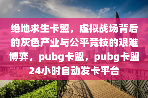 绝地求生卡盟，虚拟战场背后的灰色产业与公平竞技的艰难博弈，pubg卡盟，pubg卡盟24小时自动发卡平台