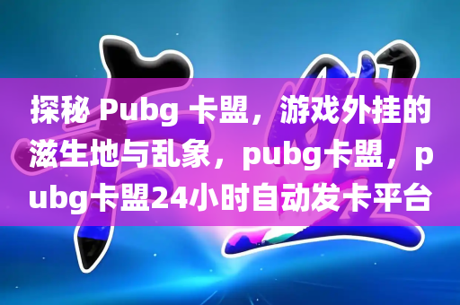 探秘 Pubg 卡盟，游戏外挂的滋生地与乱象，pubg卡盟，pubg卡盟24小时自动发卡平台