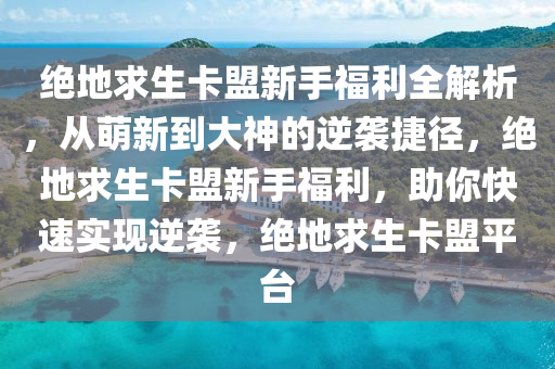绝地求生卡盟新手福利全解析，从萌新到大神的逆袭捷径，绝地求生卡盟新手福利，助你快速实现逆袭，绝地求生卡盟平台