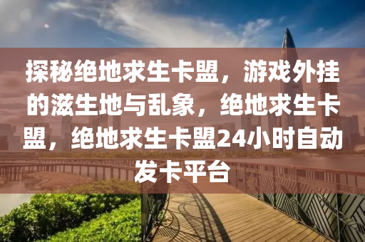 探秘绝地求生卡盟，游戏外挂的滋生地与乱象，绝地求生卡盟，绝地求生卡盟24小时自动发卡平台