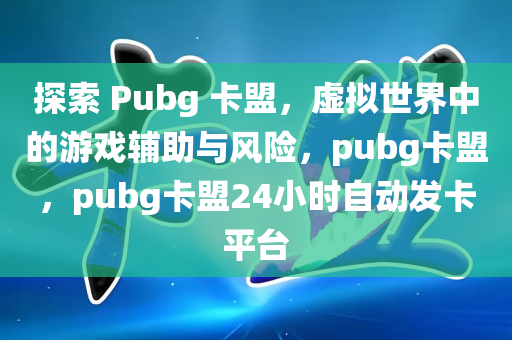 探索 Pubg 卡盟，虚拟世界中的游戏辅助与风险，pubg卡盟，pubg卡盟24小时自动发卡平台