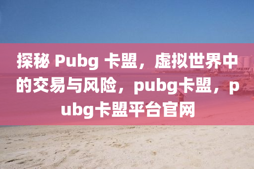 探秘 Pubg 卡盟，虚拟世界中的交易与风险，pubg卡盟，pubg卡盟平台官网