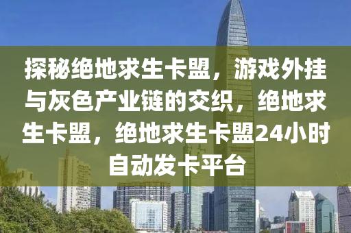 探秘绝地求生卡盟，游戏外挂与灰色产业链的交织，绝地求生卡盟，绝地求生卡盟24小时自动发卡平台