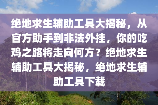 绝地求生辅助工具大揭秘，从官方助手到非法外挂，你的吃鸡之路将走向何方？绝地求生辅助工具大揭秘，绝地求生辅助工具下载