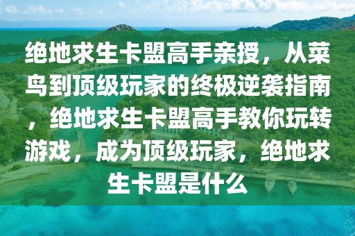 绝地求生卡盟高手亲授，从菜鸟到顶级玩家的终极逆袭指南，绝地求生卡盟高手教你玩转游戏，成为顶级玩家，绝地求生卡盟是什么