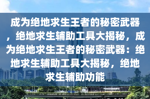 成为绝地求生王者的秘密武器，绝地求生辅助工具大揭秘，成为绝地求生王者的秘密武器：绝地求生辅助工具大揭秘，绝地求生辅助功能