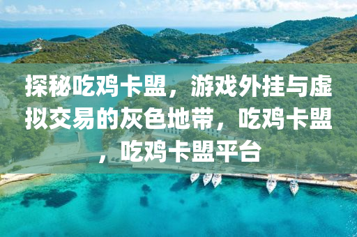 探秘吃鸡卡盟，游戏外挂与虚拟交易的灰色地带，吃鸡卡盟，吃鸡卡盟平台