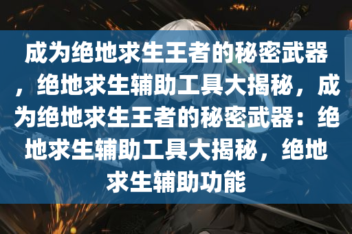 成为绝地求生王者的秘密武器，绝地求生辅助工具大揭秘，成为绝地求生王者的秘密武器：绝地求生辅助工具大揭秘，绝地求生辅助功能