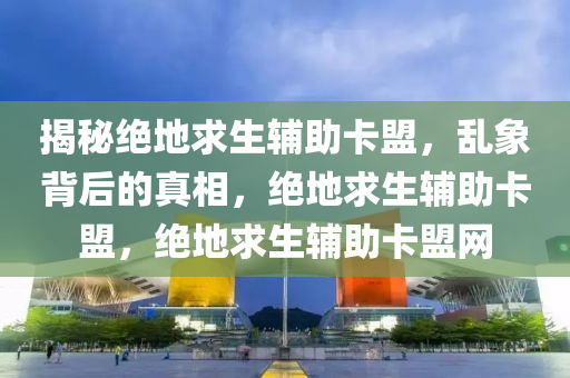 揭秘绝地求生辅助卡盟，乱象背后的真相，绝地求生辅助卡盟，绝地求生辅助卡盟网